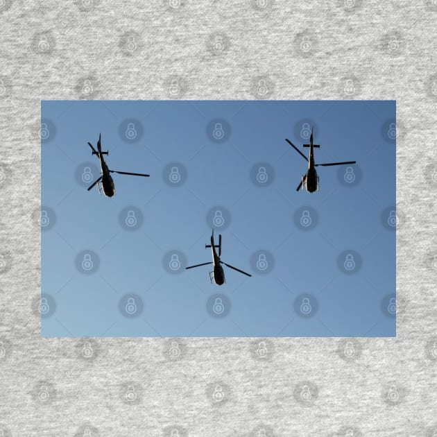 Serbian Air Force Helicopters In Formation by Parafull